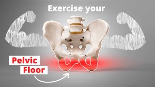 Exercise Your Pelvic Floor – Build Strength amp Coordination [upl. by Aisercal531]