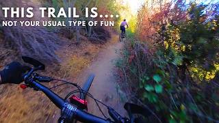 This Trail will Define your Fitness…  Gabrielino Trail  Pasadena CA [upl. by Arihday]