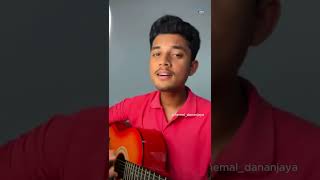 සීතල පවනැල්ලක් වීලා 😍  Pawasanna නාදුනන ලෙස  coversong song music [upl. by Anirahtak335]