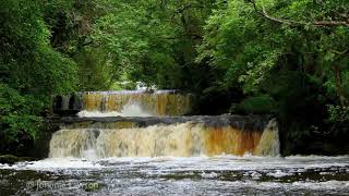 Short Forest Waterfall Nature Sounds MeditationRelaxing Water Flowing Sleeping amp Calm Study Sound [upl. by Karita]