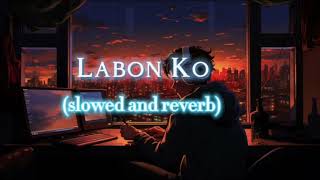 Labon ko slowed  reverb  kk  bhool bhulaiya  lofi [upl. by Christoforo]