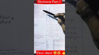 meristem  meristematic tissue flow chart part 1 neet shorts [upl. by Let]