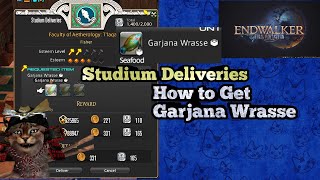 How to get Garjana Wrasse lvl 83 FSH Studium Faculty of Aetherology Delivery Quest FFXIV Endwalker [upl. by Krever]