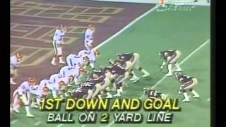 1983 USFL  NJ Generals vs Michigan Panthers [upl. by Kreager]