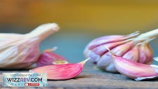 Garlic Soft Neck Early Purple Italian Organic – Seeds Review [upl. by Amelina]