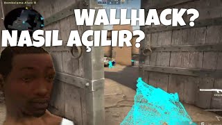 CSGO WALLHACK AÇMA [upl. by Glenn390]