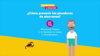 ¿Cómo prevenir las picaduras de alacranes [upl. by Jenei201]