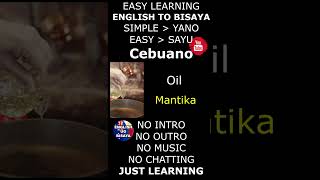 English to Bisaya  Cebuano Lessons  15 Common Words Lesson 45 [upl. by Annice]