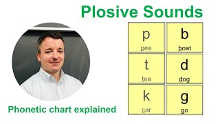 Plosive sounds  phonetic chart explained tesol celta DELTA [upl. by Eicyal]