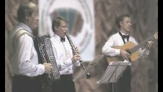 Карелофинская полька Finnish polka [upl. by Brufsky879]