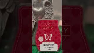 Scentsy BBMB Warm Review  Strawberry Sweetie scentsy scentsybbmb [upl. by Eelitan]