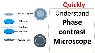 Phase contrast microscope [upl. by Enneiviv]