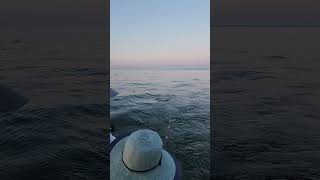 the moment before a triple header Milwaukee Charter Fishing on Silver King Charters [upl. by Aihsal]