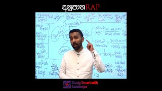 Ratio Analysis  Rap Version by Sandeepa Sir [upl. by Mis140]