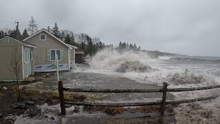 Waves crashing on shore  Pemaquid Trail New Harbor Maine Jan 13 2024 [upl. by Elisha]