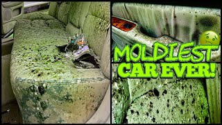 Deep Cleaning the MOLDIEST BIOHAZARD Lexus EVER  Satisfying DISASTER Car Detailing Transformation [upl. by Hekking]