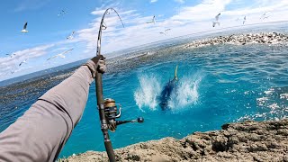 Catching Giant Fish in Feeding Frenzy Hectic Footage [upl. by Gnivre794]