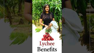 Lychee Benefits  लीची फायदे  Health benefits of Litchi [upl. by Kellby]