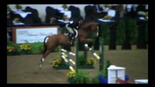 Equitation  Maclay Finals Superstar  Retired in 2015 [upl. by Cecily]