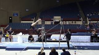 Ashley Lane Level 10 Bars 95  2018 Metroplex Challenge [upl. by Ahsinik]