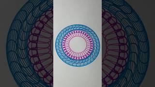 You Won’t Believe What This Simple Circle Becomes art 2024 spirograph shorts [upl. by Ynnel]