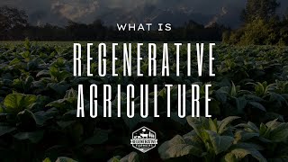 Regenerative Agriculture  Why it matters [upl. by Miru]