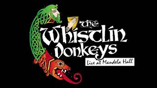 The Whistlin Donkeys  Whiskey In The Jar  LIVE at Mandela Hall [upl. by Auof]