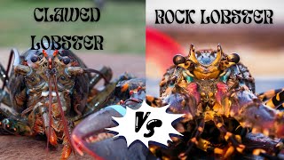 Clawed Lobster vs Spiny rock lobster [upl. by Solenne914]