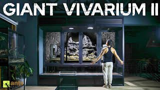 I Built My Next Giant Vivarium II and Its Ready For Life [upl. by Yhtir]