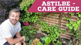 Astilbe Care Guide  7 Easy Steps [upl. by Amehsat]