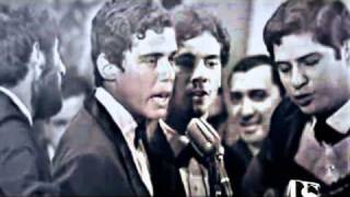 Festival Record 1967  Roda Viva  Chico Buarque [upl. by Zealand]