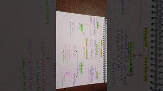 Phylum CHORDATA classification biology neet clas11 [upl. by Htebazila]