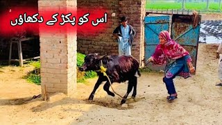 Aage aage woh peeche peachy mai 😂nasreen village vlogs [upl. by Roumell127]