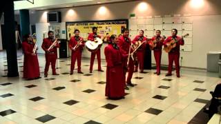 Irving Middle School mariachi [upl. by Ayotel]