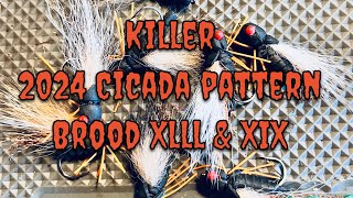 2024 Cicada fly pattern for brood Xlll amp XlX Super easy [upl. by Wellesley]