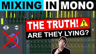 The TRUTH About Mixing in Mono Should You Do It [upl. by Omolhs]