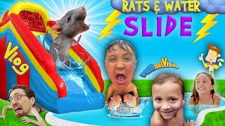 RATS amp Thunderstorm INFLATABLE SLIDE Fun FUNnel Vision Summer Vlog [upl. by Sachsse]