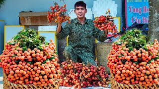 FULL VIDEO 60 days of harvesting lychee melons amp agricultural products to go to the market to sell [upl. by Omlesna]