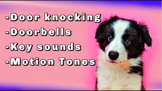 Dog sound desensitization Doorbells knocking and door opening key sounds [upl. by Cinemod]