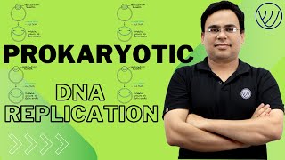 DNA REPLICATION IN PROKARYOTES  INITIATION ELONGATION TERMINATION  CSIR NET LIFE SCIENCE [upl. by Ellenij790]