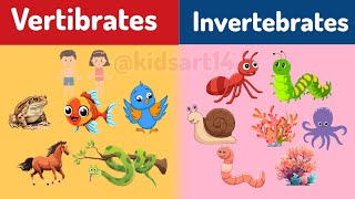 Vertibrates and Invertebrates  Classifying Vertebrates and Invertebrates  Educational videos [upl. by Caresa]