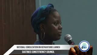 LAUNCH OF NATIONAL CONSULTATION ON REPARATIONS [upl. by Concoff917]