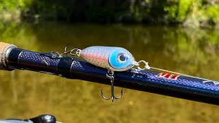 Nano Walking Bait  One Day Build to Catch [upl. by Chadbourne329]