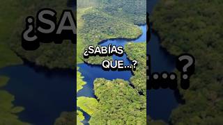 EL TAMAÑO DEL RIO AMAZONAS amazonas brasil rio rioamazonas [upl. by Noissap794]