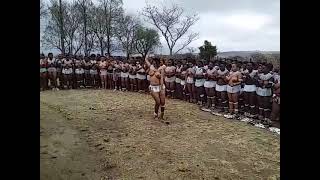 Danza de mujeres africanas [upl. by Rodgers429]