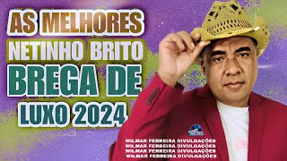 NETINHO BRITO OFICIAL  AS MELHORES CD ATUALIZADO BREGA DE LUXO 2024 [upl. by Nealey]