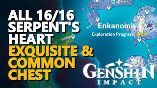 All The Serpents Heart Exquisite Chests amp Common Chest Genshin Impact [upl. by Etteneg]