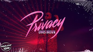 Chris Brown  Privacy Official Lyrics [upl. by Sianna]