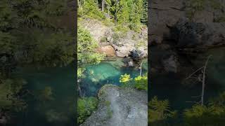 The glacial runoff is such a vibrant turquoise 😍 nature glaciernationalpark glacier montana [upl. by Mehitable]