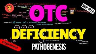 Ornithine Transcarbamylase deficiency Pathogenesis Clinical symptoms Treatment [upl. by Ayotnom]